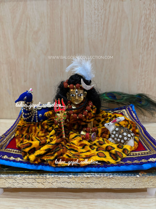 Shivratri set for laddu gopal