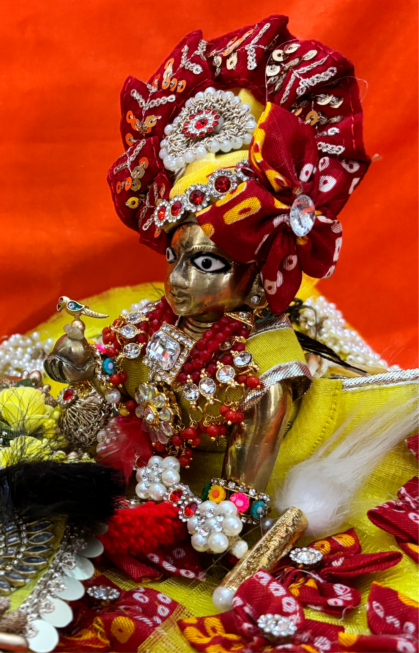 Parrot for laddu gopal